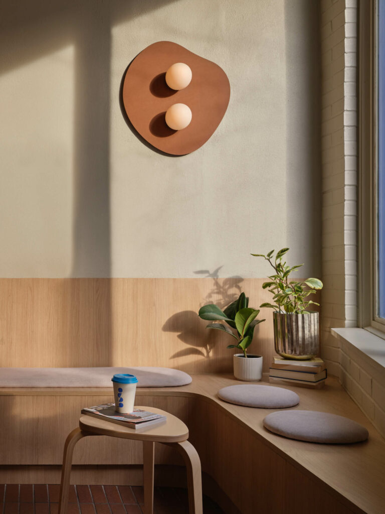 plants in sunlight in bruno coffee